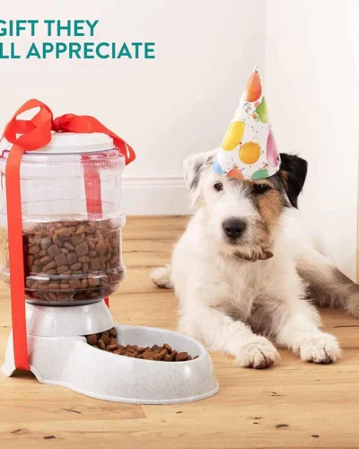 Automatic Pet Food Dispenser Self-Dispensing Pet Feeder Food Dispenser